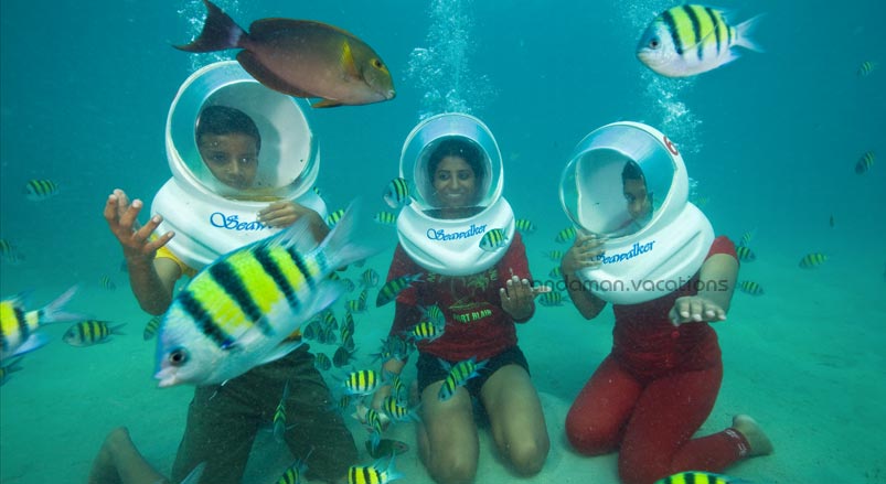 Duck Diving | MyRameswaramTrip Duck Diving